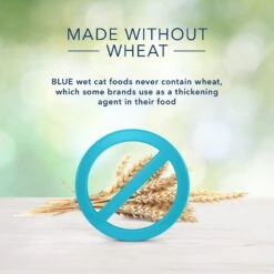 Blue Buffalo Freedom Indoor Kitten Chicken Recipe Grain-Free Canned Cat Food 10 Blue Buffalo Freedom Indoor Kitten Chicken Recipe Grain-Free Canned Cat Food -Wellness Sales 75600 PT4. AC SS1800 V1585083429