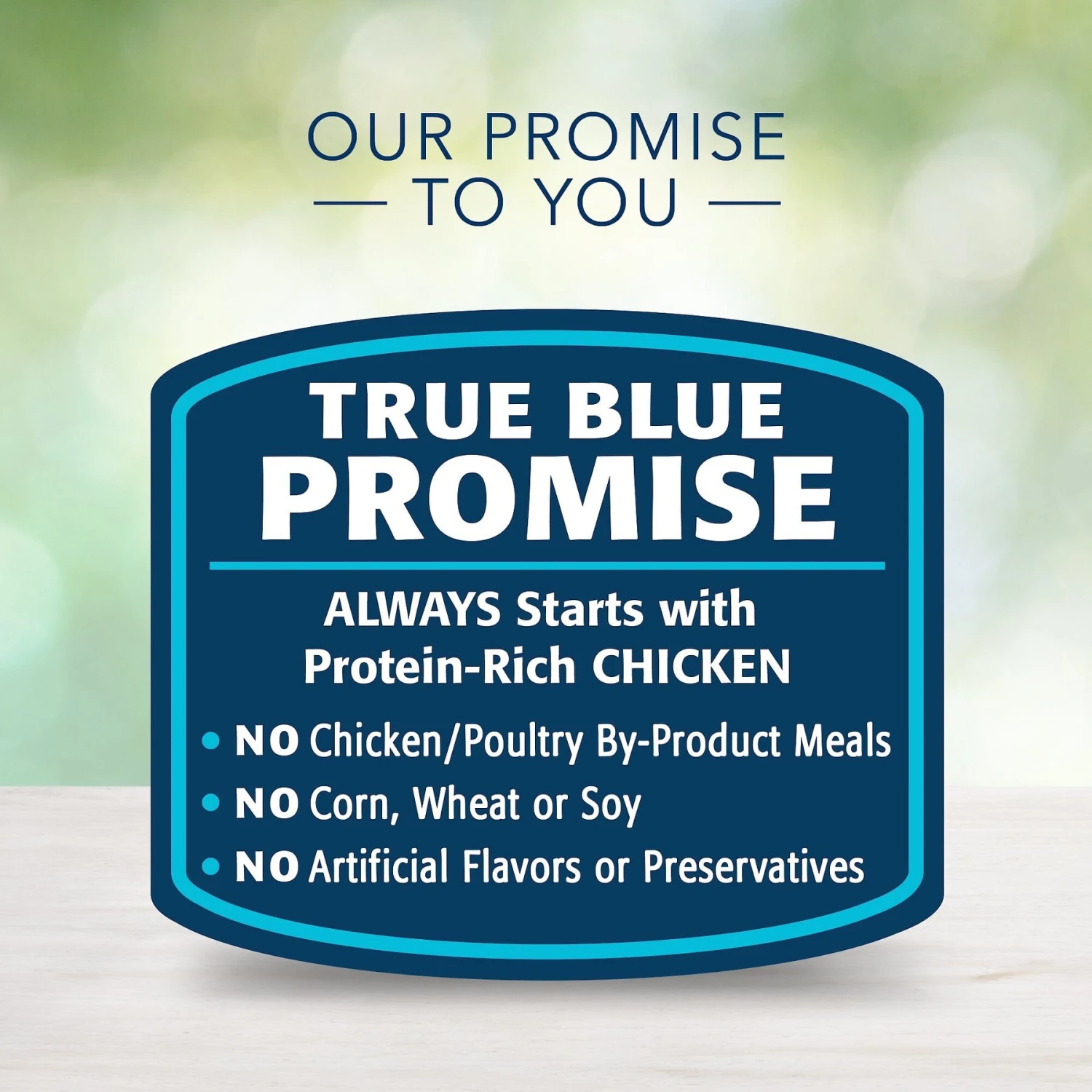 Blue Buffalo Freedom Indoor Kitten Chicken Recipe Grain-Free Canned Cat Food 6 Blue Buffalo Freedom Indoor Kitten Chicken Recipe Grain-Free Canned Cat Food - Image 6