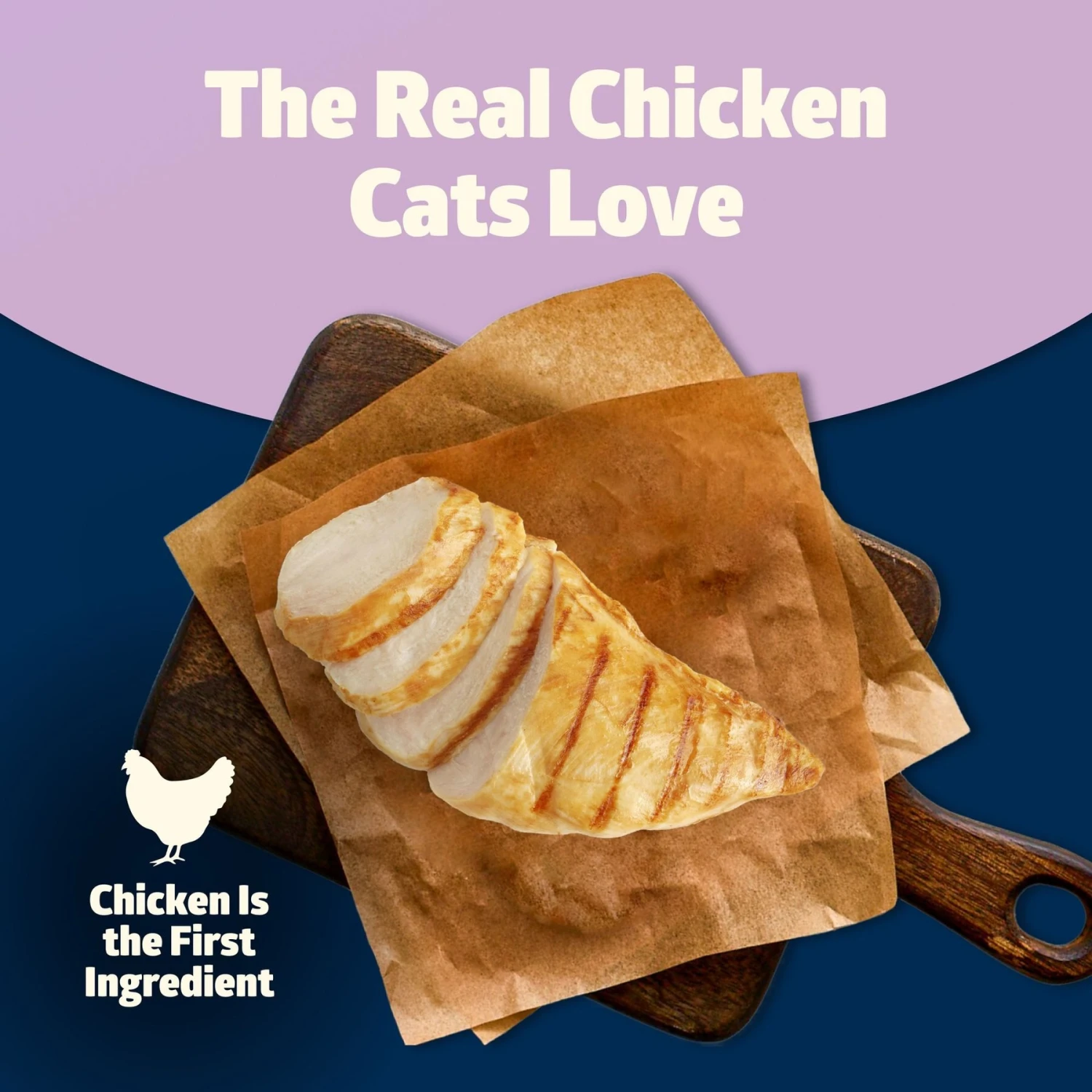 Blue Buffalo Freedom Indoor Kitten Chicken Recipe Grain-Free Dry Cat Food 2 Blue Buffalo Freedom Indoor Kitten Chicken Recipe Grain-Free Dry Cat Food - Image 2