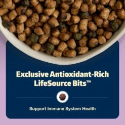 Blue Buffalo Freedom Indoor Kitten Chicken Recipe Grain-Free Dry Cat Food 13 Blue Buffalo Freedom Indoor Kitten Chicken Recipe Grain-Free Dry Cat Food -Wellness Sales 75603 PT6. AC SS1800 V1649127390