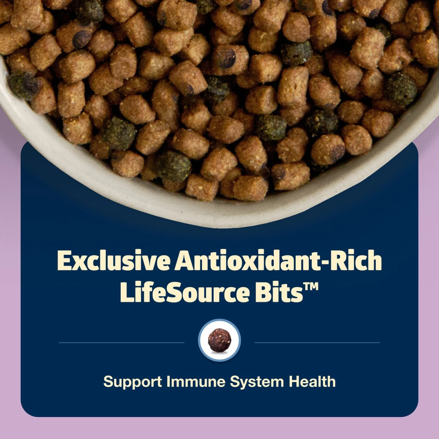 Blue Buffalo Freedom Indoor Kitten Chicken Recipe Grain-Free Dry Cat Food 6 Blue Buffalo Freedom Indoor Kitten Chicken Recipe Grain-Free Dry Cat Food - Image 6