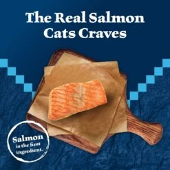 Blue Buffalo Wilderness Kitten Salmon Grain-Free Canned Cat Food 9 Blue Buffalo Wilderness Kitten Salmon Grain-Free Canned Cat Food -Wellness Sales 75637 PT2. AC SS1800 V1646779588