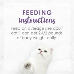 Fancy Feast Medleys Wild Salmon Florentine Canned Cat Food -Wellness Sales 75886 PT7. AC SS1800 V1586526390