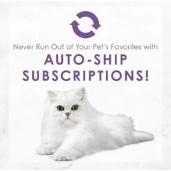 Fancy Feast Medleys Wild Salmon Florentine Canned Cat Food -Wellness Sales 75886 PT8. AC SS1800 V1586526392