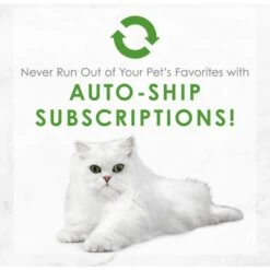 Fancy Feast Medleys Tuna Florentine Canned Cat Food -Wellness Sales 75892 PT8. AC SS1800 V1659907818