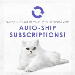 Fancy Feast Medleys White Meat Chicken Primavera Canned Cat Food 17 Fancy Feast Medleys White Meat Chicken Primavera Canned Cat Food -Wellness Sales 75896 PT8. AC SS1800 V1649114187
