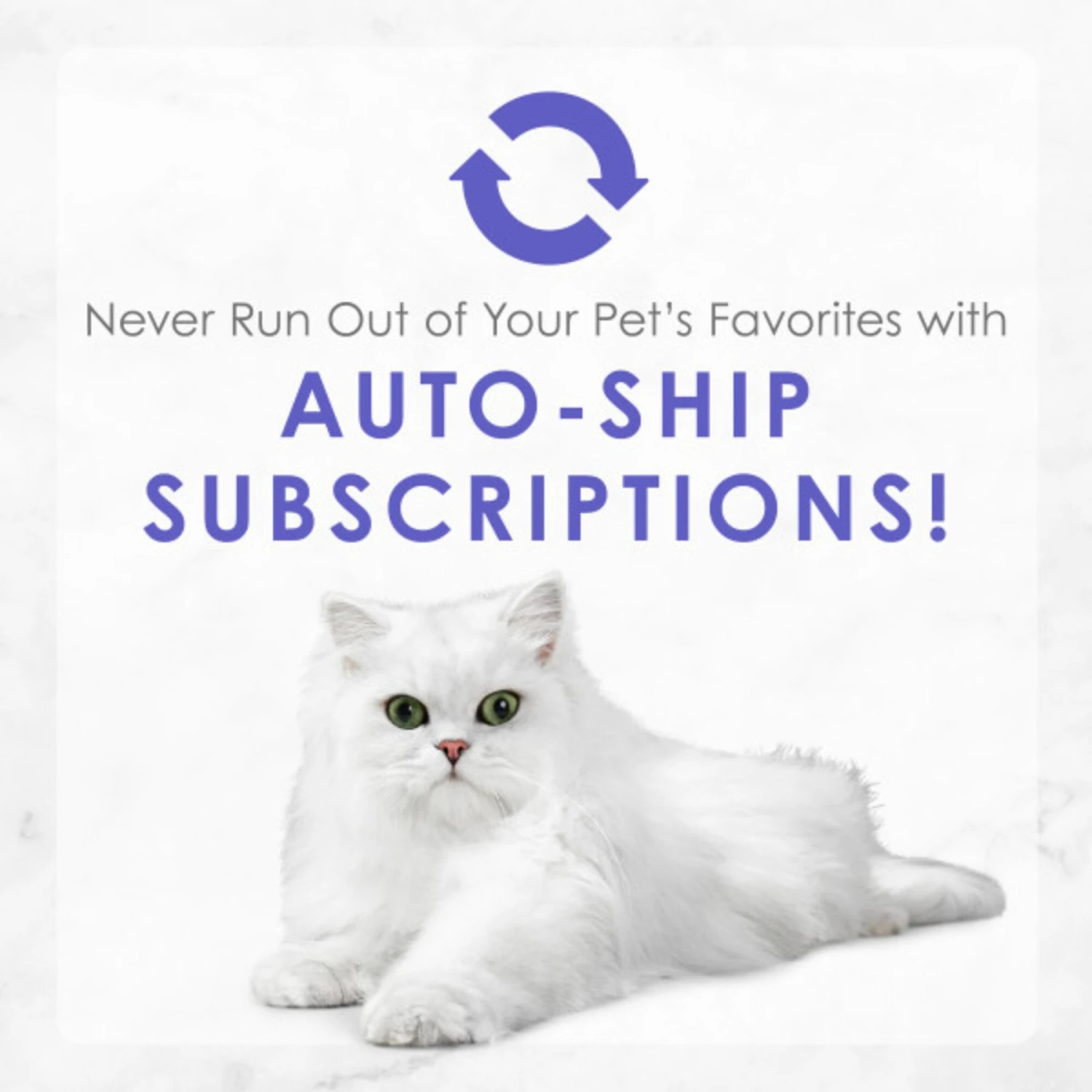 Fancy Feast Medleys White Meat Chicken Primavera Canned Cat Food 9 Fancy Feast Medleys White Meat Chicken Primavera Canned Cat Food - Image 9