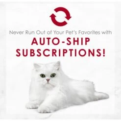 Fancy Feast Medleys Wild Salmon Primavera Canned Cat Food 17 Fancy Feast Medleys Wild Salmon Primavera Canned Cat Food -Wellness Sales 75898 PT8. AC SS1800 V1649107890