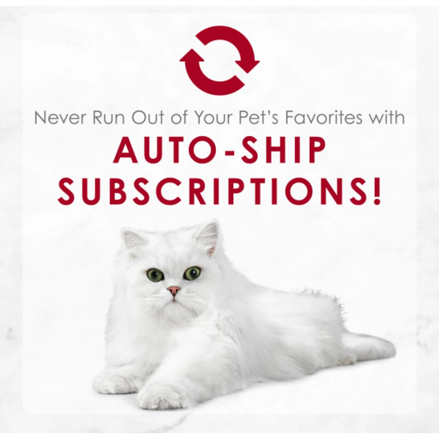 Fancy Feast Medleys Wild Salmon Primavera Canned Cat Food 9 Fancy Feast Medleys Wild Salmon Primavera Canned Cat Food - Image 9