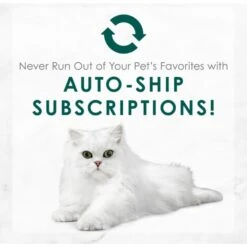 Fancy Feast Medleys Shredded Turkey Fare Canned Cat Food 17 Fancy Feast Medleys Shredded Turkey Fare Canned Cat Food -Wellness Sales 75914 PT8. AC SS1800 V1649115436