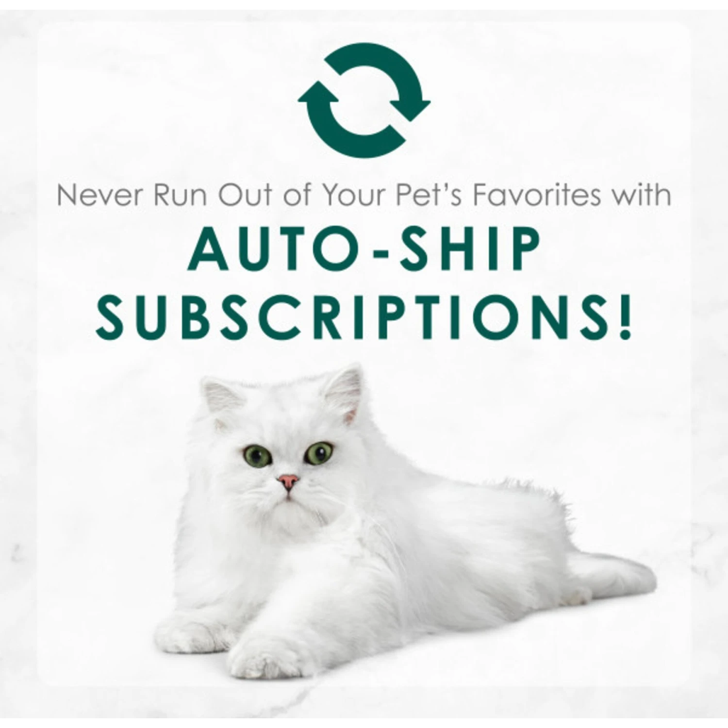 Fancy Feast Medleys Shredded Turkey Fare Canned Cat Food 9 Fancy Feast Medleys Shredded Turkey Fare Canned Cat Food - Image 9