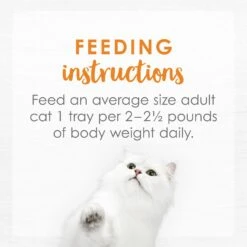 Fancy Feast Purely White Meat Chicken Wet Cat Food 16 Fancy Feast Purely White Meat Chicken Wet Cat Food -Wellness Sales 75929 PT7. AC SS1800 V1568640471