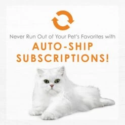 Fancy Feast Purely White Meat Chicken Wet Cat Food 17 Fancy Feast Purely White Meat Chicken Wet Cat Food -Wellness Sales 75929 PT8. AC SS1800 V1568640449