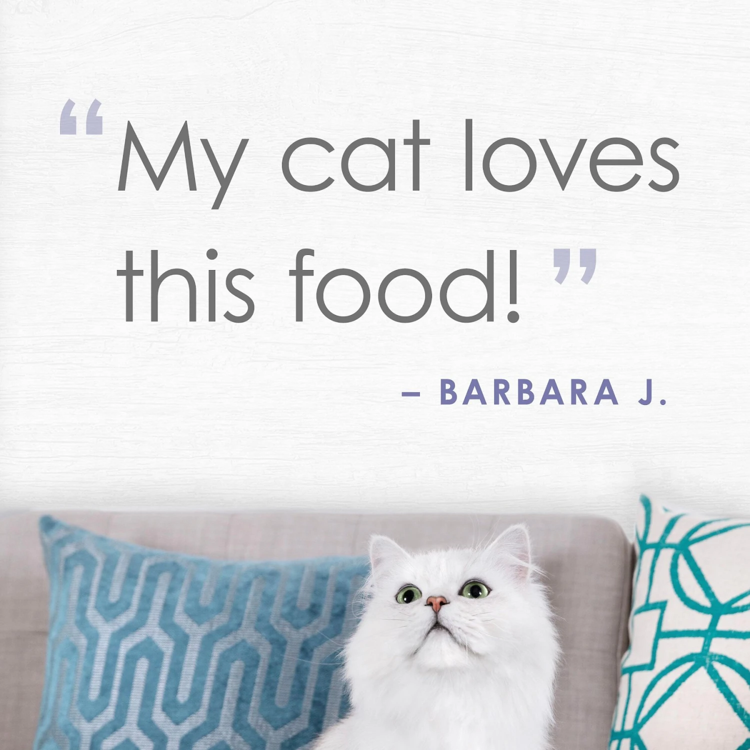 Fancy Feast Purely White Meat Chicken & Shredded Beef Wet Cat Food 6 Fancy Feast Purely White Meat Chicken & Shredded Beef Wet Cat Food - Image 6