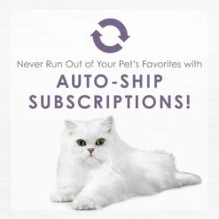 Fancy Feast Purely White Meat Chicken & Shredded Beef Wet Cat Food 17 Fancy Feast Purely White Meat Chicken & Shredded Beef Wet Cat Food -Wellness Sales 75931 PT8. AC SS1800 V1640901385