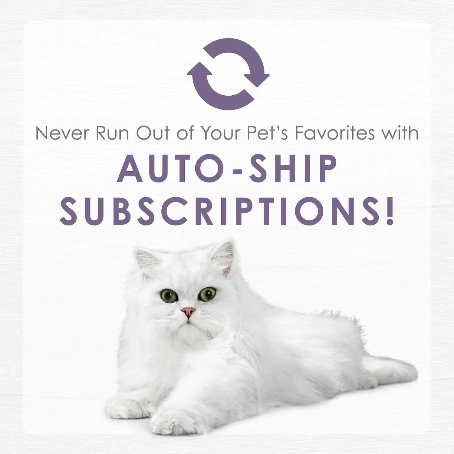 Fancy Feast Purely White Meat Chicken & Shredded Beef Wet Cat Food 9 Fancy Feast Purely White Meat Chicken & Shredded Beef Wet Cat Food - Image 9