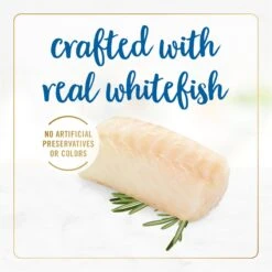 Fancy Feast Delights With Cheddar Grilled Whitefish & Cheddar Cheese Feast In Gravy Canned Cat Food 14 Fancy Feast Delights With Cheddar Grilled Whitefish & Cheddar Cheese Feast In Gravy Canned Cat Food -Wellness Sales 75958 PT5. AC SS1800 V1693929803