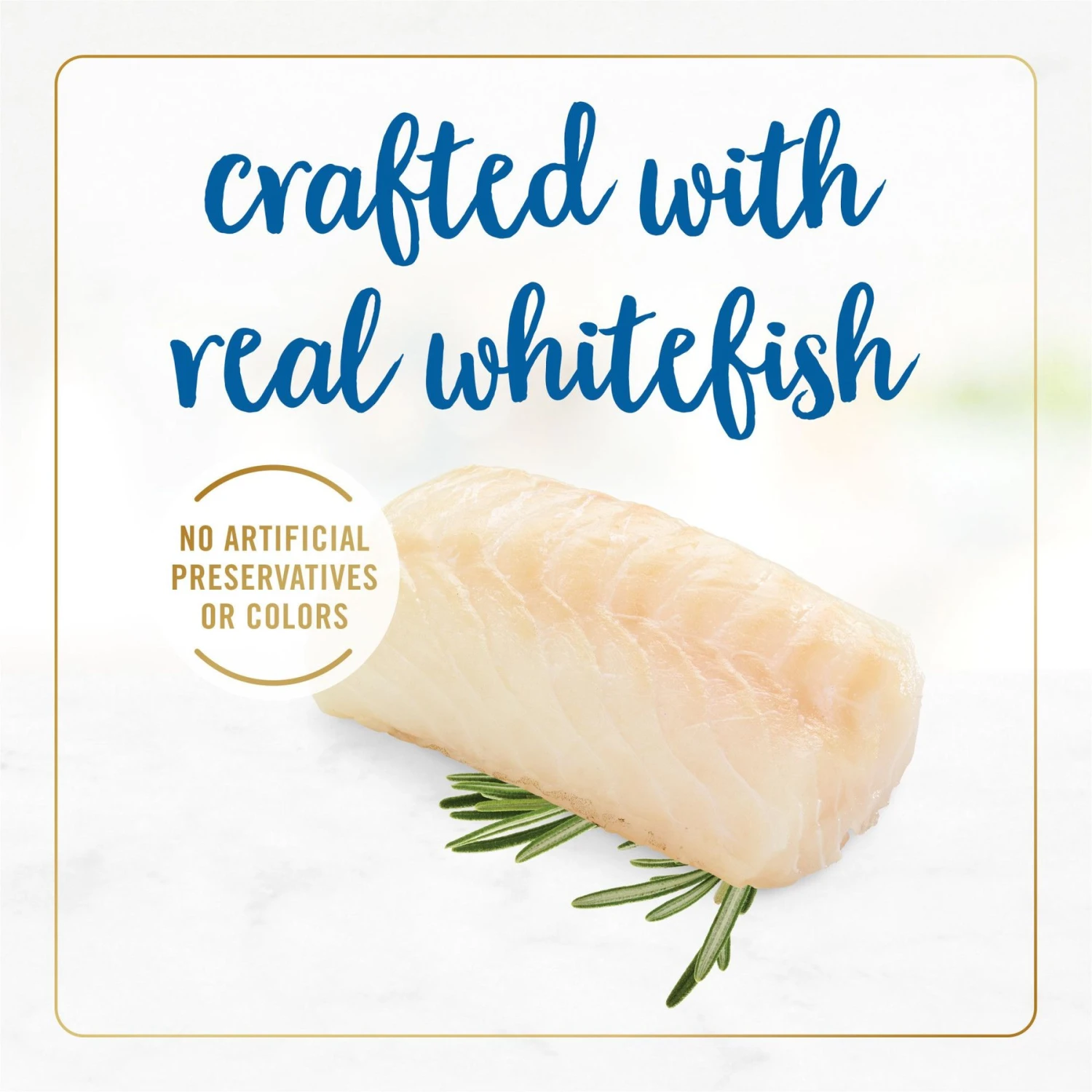 Fancy Feast Delights With Cheddar Grilled Whitefish & Cheddar Cheese Feast In Gravy Canned Cat Food 6 Fancy Feast Delights With Cheddar Grilled Whitefish & Cheddar Cheese Feast In Gravy Canned Cat Food - Image 6