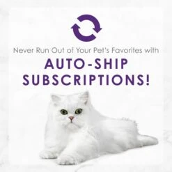 Fancy Feast Delights With Cheddar Grilled Whitefish & Cheddar Cheese Feast In Gravy Canned Cat Food 17 Fancy Feast Delights With Cheddar Grilled Whitefish & Cheddar Cheese Feast In Gravy Canned Cat Food -Wellness Sales 75958 PT8. AC SS1800 V1693928906