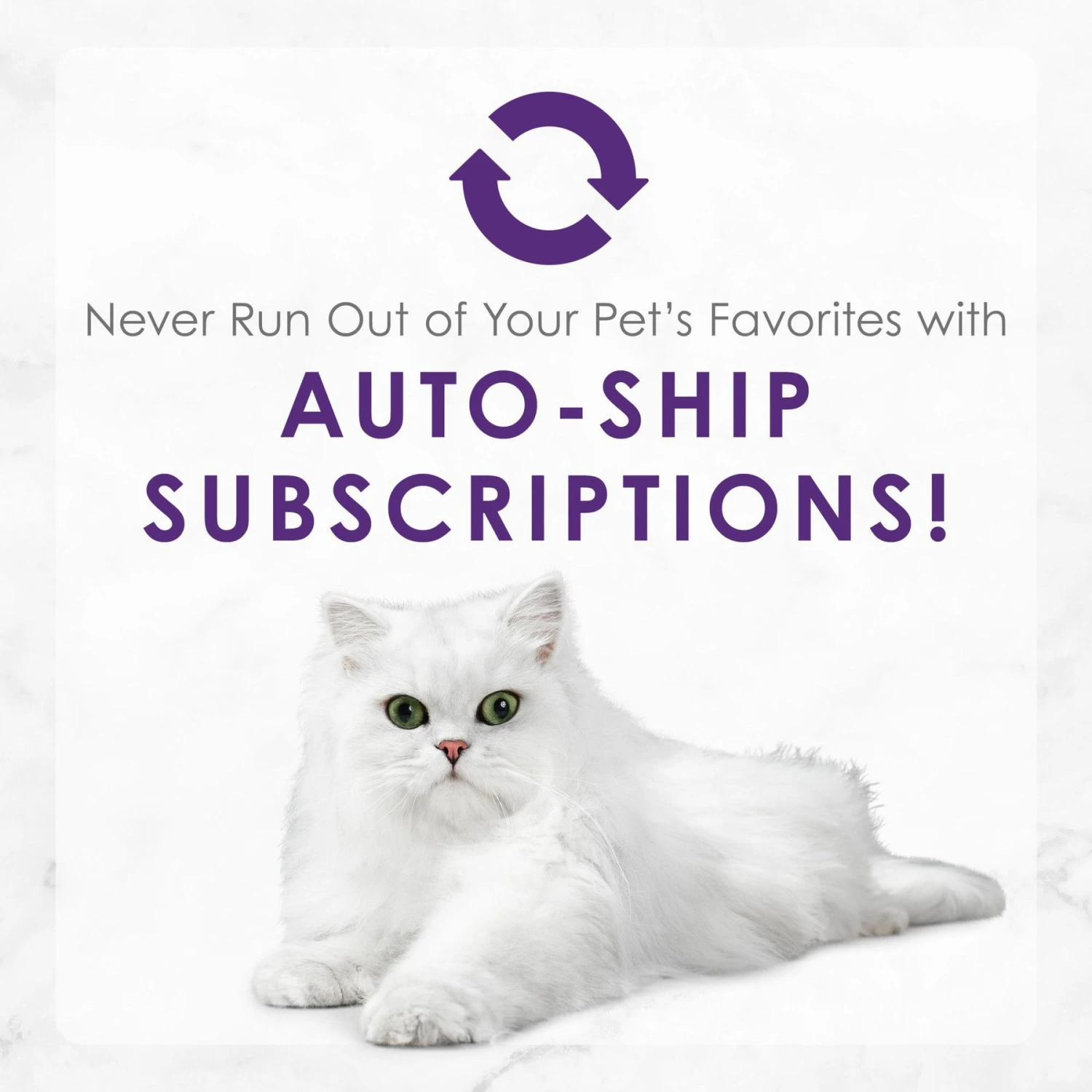 Fancy Feast Delights With Cheddar Grilled Whitefish & Cheddar Cheese Feast In Gravy Canned Cat Food 9 Fancy Feast Delights With Cheddar Grilled Whitefish & Cheddar Cheese Feast In Gravy Canned Cat Food - Image 9