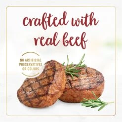 Fancy Feast Gravy Lovers Beef Feast Gravy Canned Cat Food 13 Fancy Feast Gravy Lovers Beef Feast Gravy Canned Cat Food -Wellness Sales 75962 PT4. AC SS1800 V1695494776