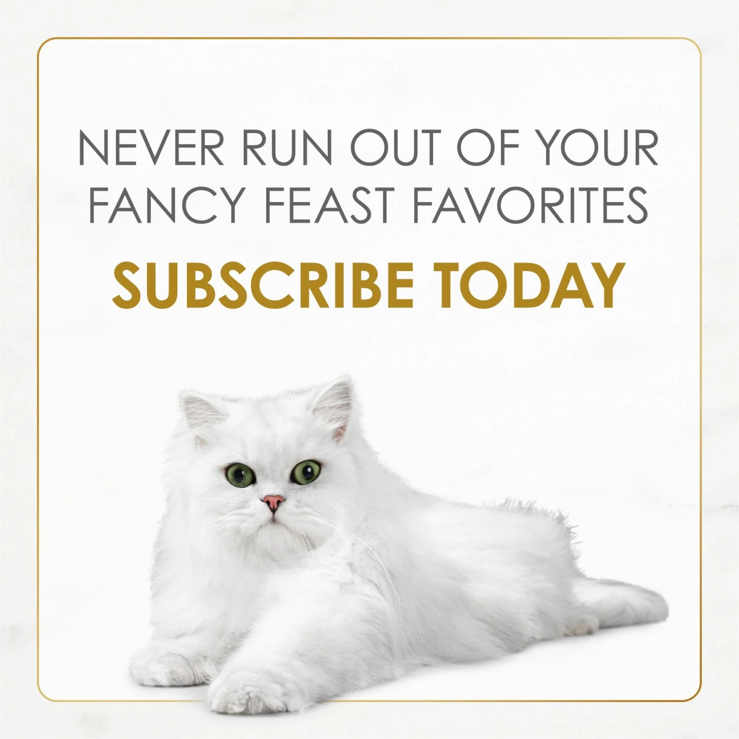 Fancy Feast Gravy Lovers Chicken Feast In Grilled Chicken Flavor Gravy Canned Cat Food 8 Fancy Feast Gravy Lovers Chicken Feast In Grilled Chicken Flavor Gravy Canned Cat Food - Image 8