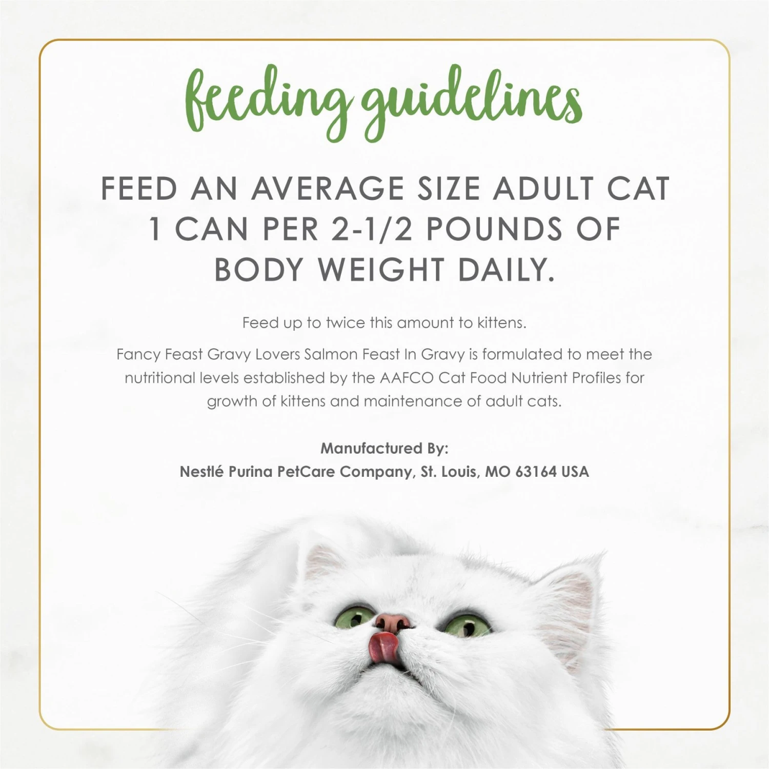 Fancy Feast Gravy Lovers Salmon Feast In Gravy Gourmet Wet Cat Food 9 Fancy Feast Gravy Lovers Salmon Feast In Gravy Gourmet Wet Cat Food - Image 9