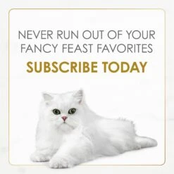 Fancy Feast Gravy Lovers Poultry & Beef Feast Variety Pack Canned Cat Food -Wellness Sales 75978 PT7. AC SS1800 V1690484502