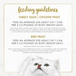 Fancy Feast Gravy Lovers Poultry & Beef Feast Variety Pack Canned Cat Food -Wellness Sales 75978 PT8. AC SS1800 V1690484629
