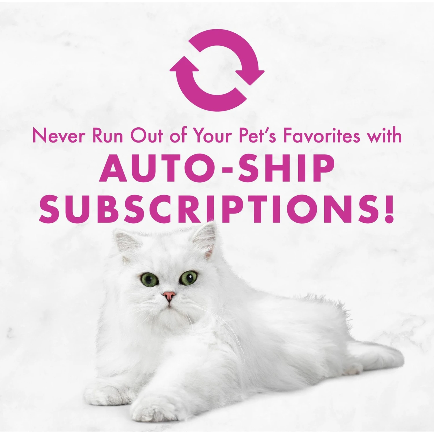 Fancy Feast Classic Chopped Grill Feast Canned Cat Food 9 Fancy Feast Classic Chopped Grill Feast Canned Cat Food - Image 9