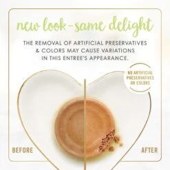 Fancy Feast Kitten Tender Turkey Feast Canned Cat Food 11 Fancy Feast Kitten Tender Turkey Feast Canned Cat Food -Wellness Sales 76100 PT2. AC SS1800 V1691418829