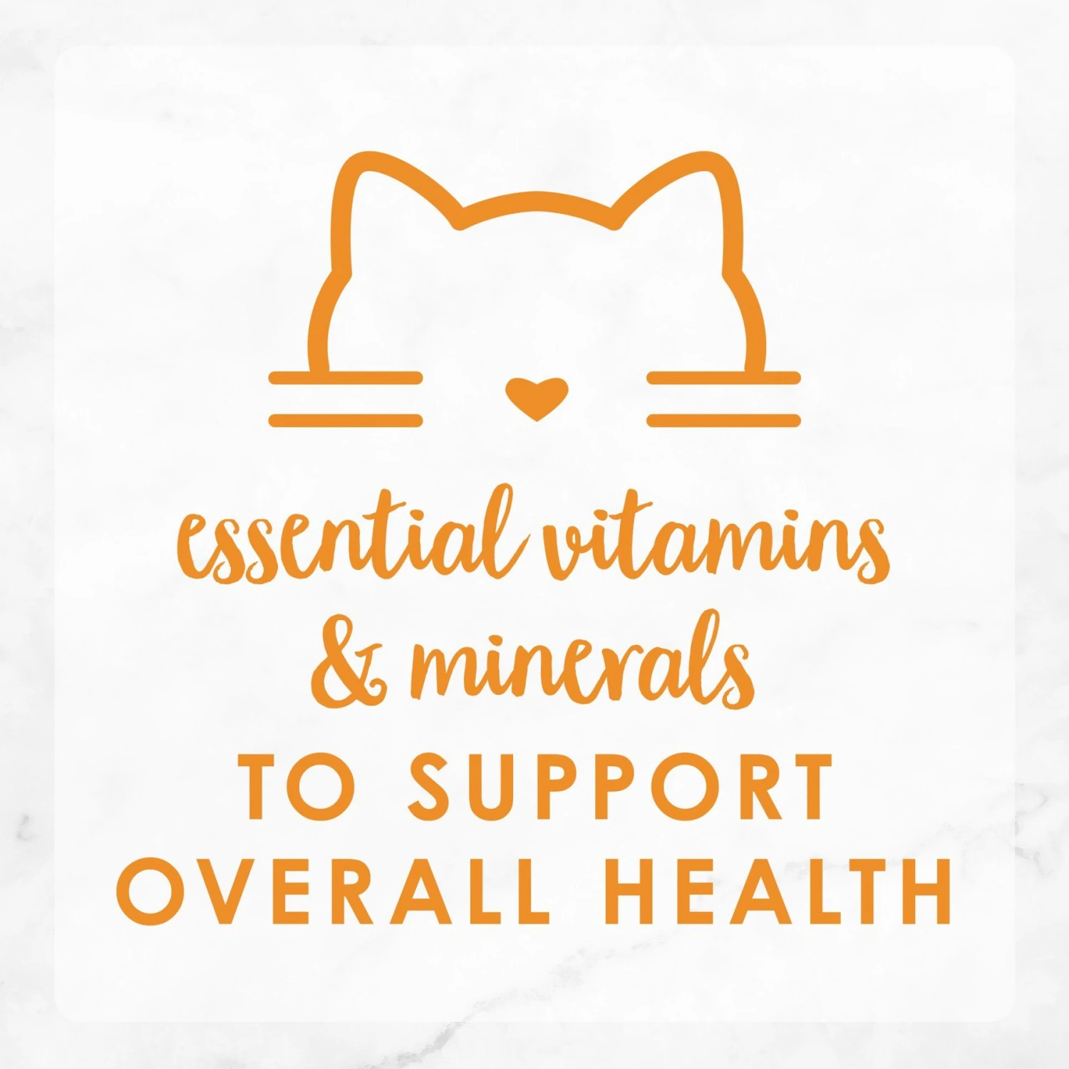 Fancy Feast Sliced Turkey Feast In Gravy Canned Cat Food 9 Fancy Feast Sliced Turkey Feast In Gravy Canned Cat Food - Image 9