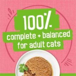 Friskies Pate Salmon Dinner Canned Cat Food 13 Friskies Pate Salmon Dinner Canned Cat Food -Wellness Sales 76196 PT4. AC SS1800 V1700159488