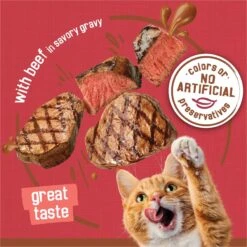 Friskies Extra Gravy Chunky With Beef In Savory Gravy Canned Cat Food -Wellness Sales 76286 PT3. AC SS1800 V1699396521