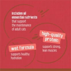 Friskies Extra Gravy Chunky With Beef In Savory Gravy Canned Cat Food -Wellness Sales 76286 PT7. AC SS1800 V1699371080