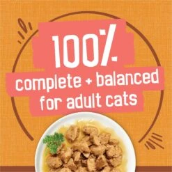Friskies Extra Gravy Chunky With Chicken In Savory Gravy Canned Cat Food -Wellness Sales 76290 PT5. AC SS1800 V1700158410