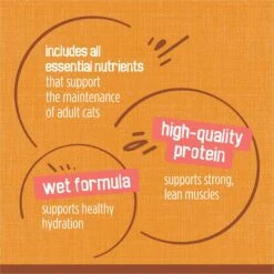 Friskies Extra Gravy Chunky With Chicken In Savory Gravy Canned Cat Food -Wellness Sales 76290 PT7. AC SS1800 V1700159116