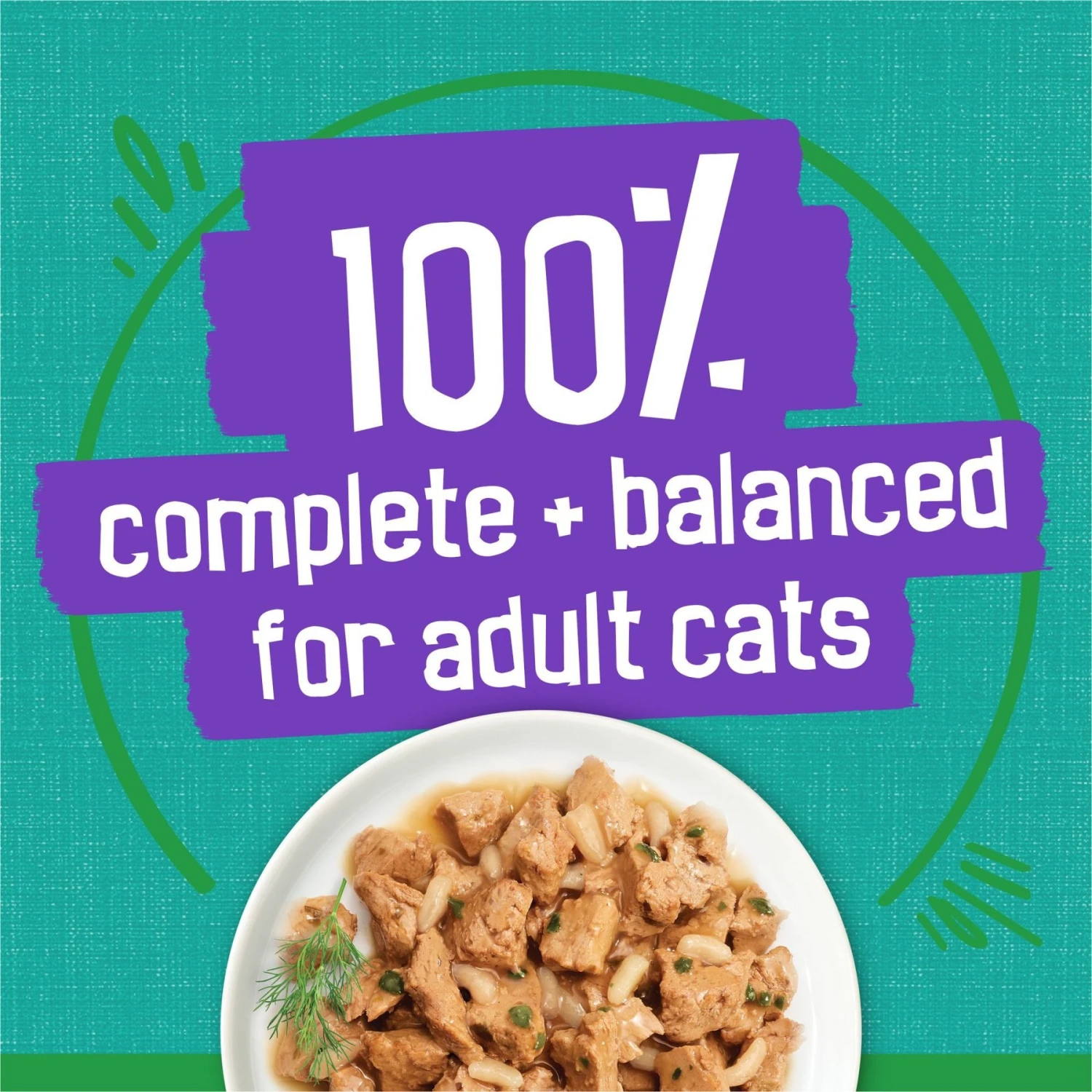 Friskies Indoor Saucy Seafood Bake Canned Cat Food 6 Friskies Indoor Saucy Seafood Bake Canned Cat Food - Image 6