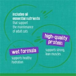 Friskies Indoor Saucy Seafood Bake Canned Cat Food 16 Friskies Indoor Saucy Seafood Bake Canned Cat Food -Wellness Sales 76324 PT7. AC SS1800 V1700156650