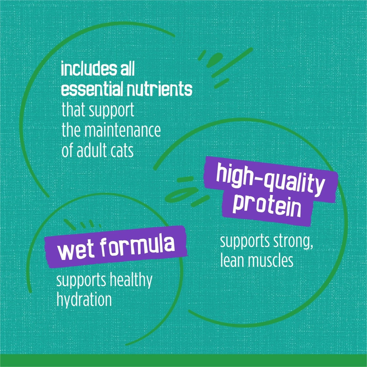 Friskies Indoor Saucy Seafood Bake Canned Cat Food 8 Friskies Indoor Saucy Seafood Bake Canned Cat Food - Image 8