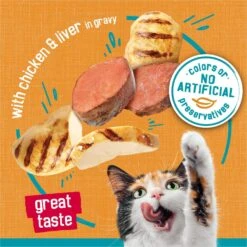 Friskies Tasty Treasures Gravy Chicken & Liver Wet Cat Food -Wellness Sales 76342 PT3. AC SS1800 V1700160036
