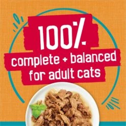 Friskies Tasty Treasures Gravy Chicken & Liver Wet Cat Food -Wellness Sales 76342 PT5. AC SS1800 V1700157914