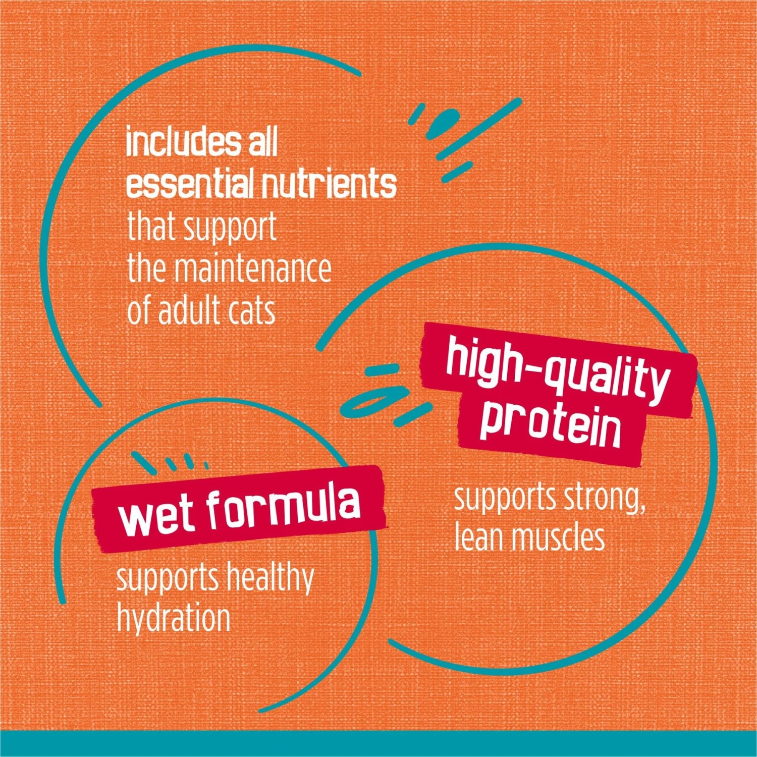 Friskies Tasty Treasures Chicken, Tuna & Scallop Flavor In Gravy Canned Cat Food 8 Friskies Tasty Treasures Chicken, Tuna & Scallop Flavor In Gravy Canned Cat Food - Image 8