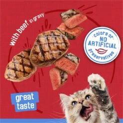 Friskies Savory Shreds With Beef In Gravy Canned Cat Food -Wellness Sales 76362 PT3. AC SS1800 V1700161323