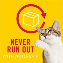 Friskies Savory Shreds With Beef In Gravy Canned Cat Food -Wellness Sales 76362 PT8. AC SS1800 V1541532800