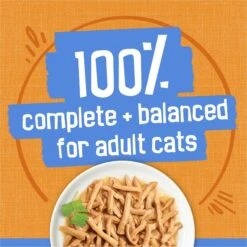 Friskies Savory Shreds With Chicken In Gravy Canned Cat Food 14 Friskies Savory Shreds With Chicken In Gravy Canned Cat Food -Wellness Sales 76364 PT5. AC SS1800 V1699375106