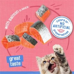 Friskies Savory Shreds With Salmon In Sauce Canned Cat Food 12 Friskies Savory Shreds With Salmon In Sauce Canned Cat Food -Wellness Sales 76366 PT3. AC SS1800 V1699391234