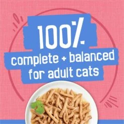 Friskies Savory Shreds With Salmon In Sauce Canned Cat Food 14 Friskies Savory Shreds With Salmon In Sauce Canned Cat Food -Wellness Sales 76366 PT5. AC SS1800 V1700157204