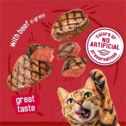 Friskies Prime Filets With Beef In Gravy Canned Cat Food -Wellness Sales 76389 PT3. AC SS1800 V1700160747