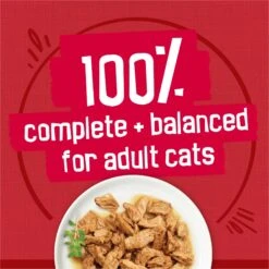 Friskies Prime Filets With Beef In Gravy Canned Cat Food -Wellness Sales 76389 PT5. AC SS1800 V1699396521